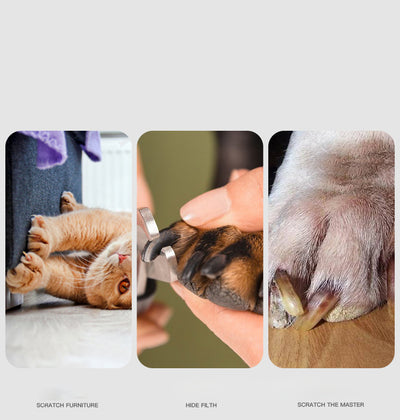 Cortaúñas y Limadora Eléctrica para Mascotas con Luz LED - Image 11