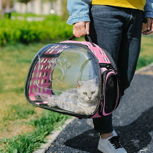 Mochila Escolar Transparente para Mascotas - Diseño Portátil para Gatos - Image 7