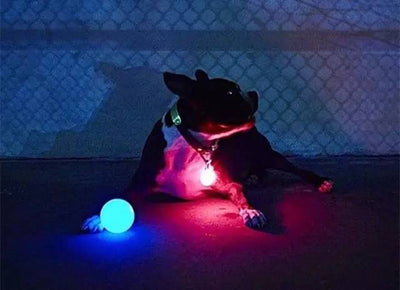 Orange LED pet ball in clear packaging, with a dog on the insert holding a glowing ball in its mouth. - Image 10