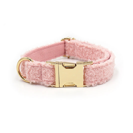 Collar Suave para Mascota con Letras Personalizables - Image 12