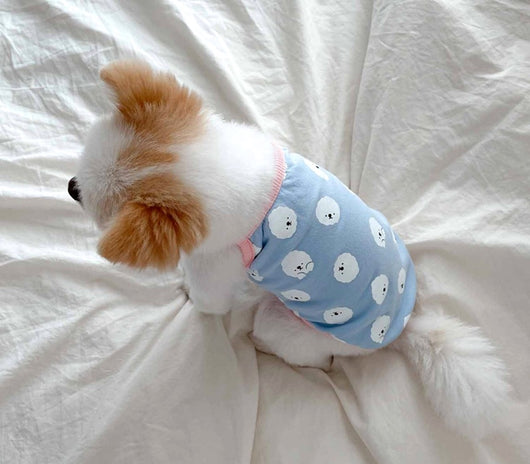 Canguro Transportador para Perros Pequeños - Pomerania, Schnauzer, Yorkie - Image 5