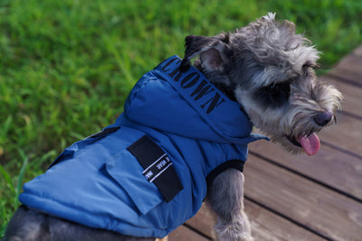 Abrigo Térmico con Capucha para Mascotas - Diseño Acolchado Invierno - Image 11