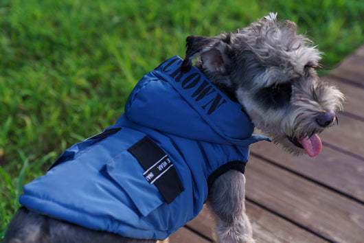 Abrigo Térmico con Capucha para Mascotas - Diseño Acolchado Invierno - Image 11