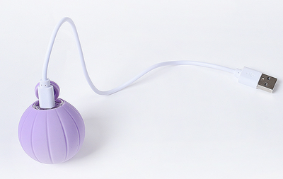 Orange smart bouncing rolling silicone ball toy for cats, shown with its white packaging box and a white USB charging cable. - Image 10