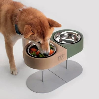 Comedero Portátil para Mascotas - Viajes y Camping - Image 6