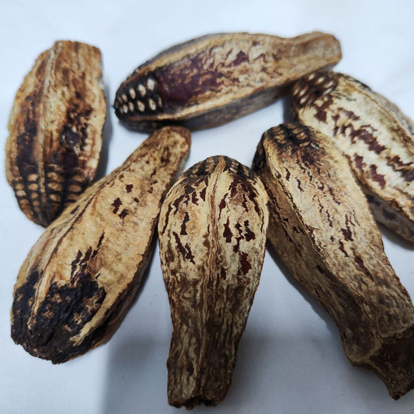 Juguete Comestible de Carambola para Aves - Fruta Deshidratada Natural
