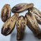 Juguete Comestible de Carambola para Aves - Fruta Deshidratada Natural