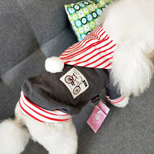 Ropa para Mascotas Primavera Verano - Teddy Adorable - Image 3