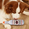 Juguete Masticable para Perros con Sonido de Botella de Vino