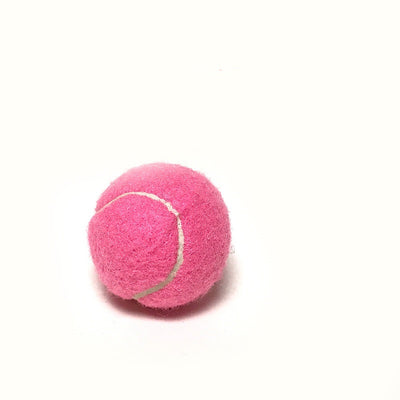 Pelota de Tenis Gigante para Perros Grandes - Image 26