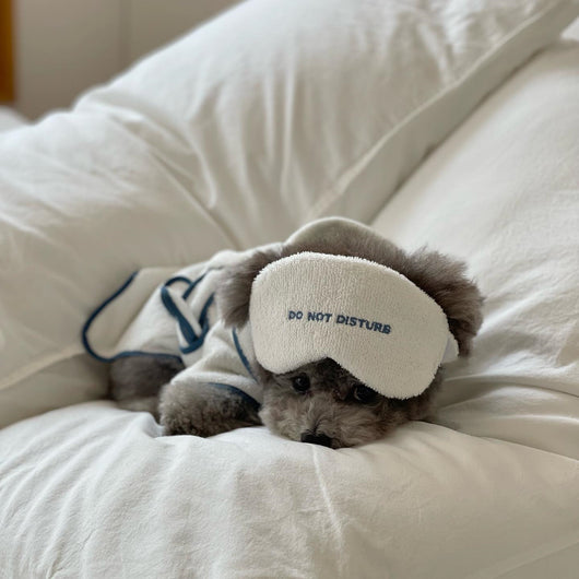 Bata de Baño para Mascotas con Diseño Hotel Chic - Pijama Fotográfico - Image 15