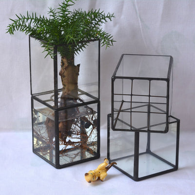 Maceta Vintage de Cristal para Suculentas y Flores - Image 7