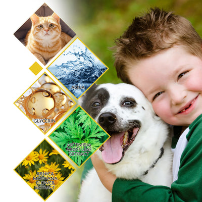 Champú Antiparasitario para Perros y Gatos - Control de Pulgas, Garrapatas y Piojos - Image 6