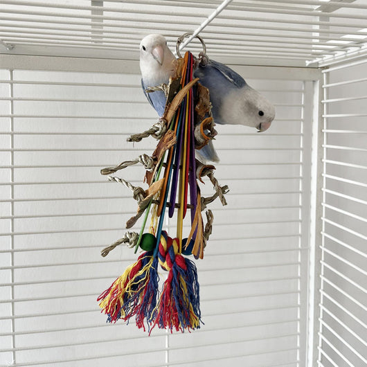 Juguete Mordedor de Mazorca de Maíz para Loros - Cuerda Tejida con Madera Natural - Image 4