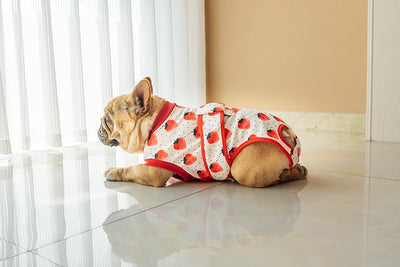 Ropa Quirúrgica Protectora para Mascotas - Anti-lamido Universal - Image 22