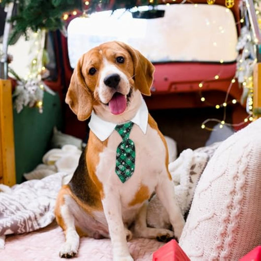 Corbata Navideña Ajustable para Mascotas con Patrón de Copos de Nieve - Image 16