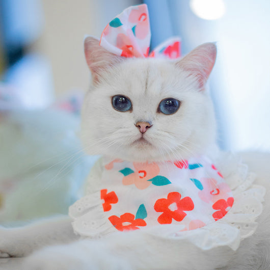 Babero Pañoleta Encaje Gato Estilo Princesa con Decoración - Image 44