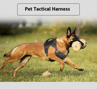Arnés Táctico de Pecho para Perros de Búsqueda y Rescate - Image 13