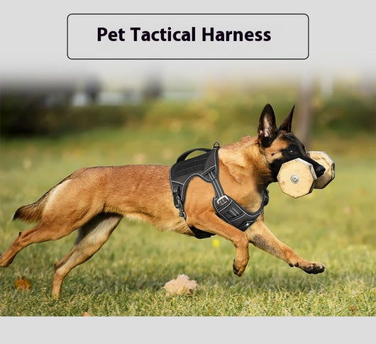 Arnés Táctico de Pecho para Perros de Búsqueda y Rescate - Image 13