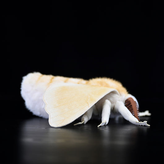 Peluche de Polilla Gusano de Seda - Muñeco Coleccionable de la Serie Insectos - Image 8