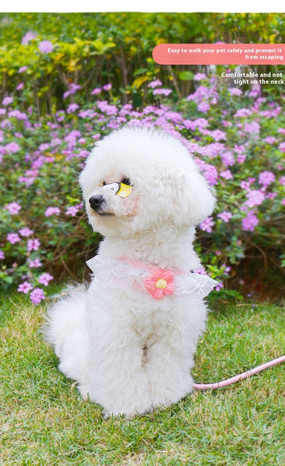 Chaleco de Paseo con Correa para Perros Pequeños - Image 23