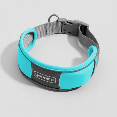 Collar y Correa para Perro Resistente a Tirones con Cierre de Seguridad - Image 11