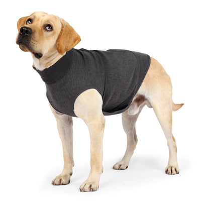 Ropa Calmante Antiestres para Mascotas - Image 5