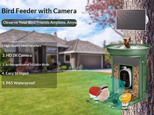 Comedero Inteligente para Aves con Energía Solar e IA - Image 10