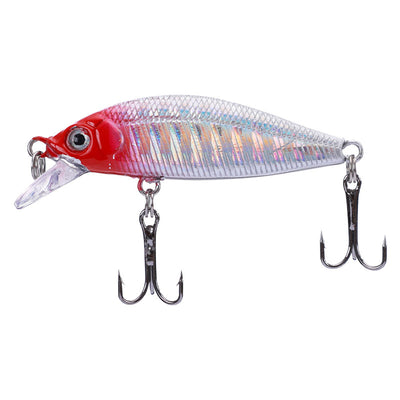 Carnada Viva para Pesca de Agua Dulce - Cucaracha Bass - Image 4