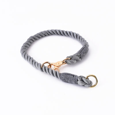 Collar Tipo P Ajustable para Perros Pequeños y Medianos - Image 13