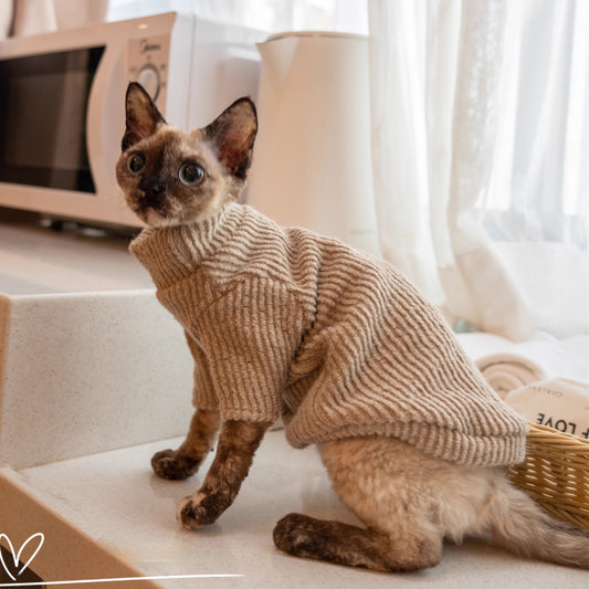 Chaleco de Lana para Gatos - Diseño Adorable con Cierre de Hebilla - Image 2