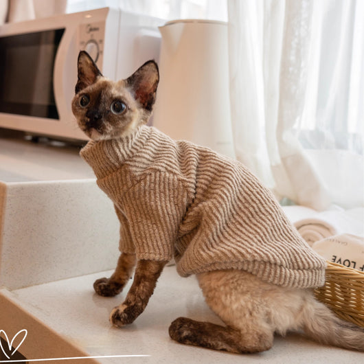 Chaleco de Lana para Gatos - Diseño Adorable con Cierre de Hebilla - Image 2