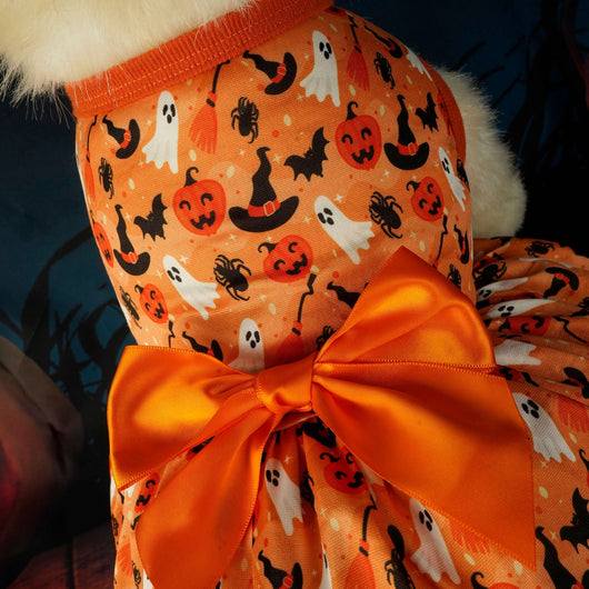 Disfraz de Fiesta Halloween para Mascotas - Image 3