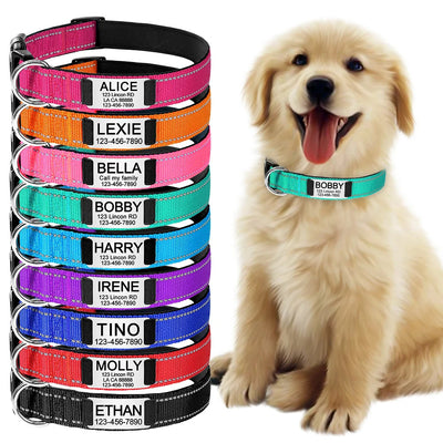 Collar Ajustable para Perro con Diseño Tallado - Image 9