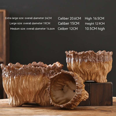 Maceta Cerámica Grande con Diseño de Raíces - Ideal para Suculentas y Plantas - Image 8
