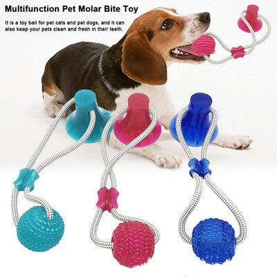 Juguete Mordedor para Perros con Ventosas de Goma - Image 5