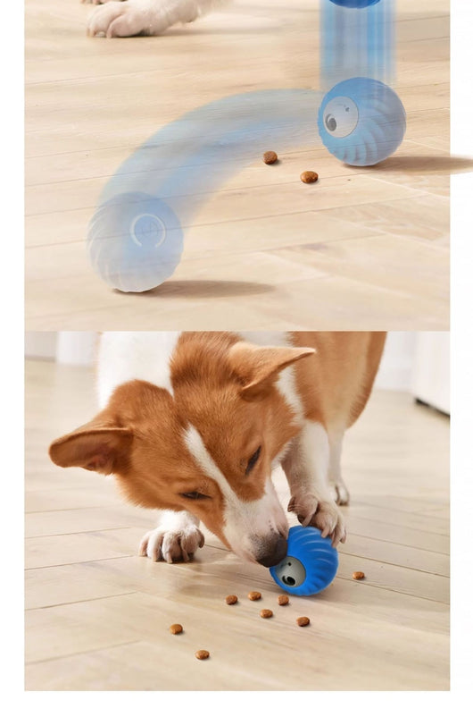 Juguete Interactivo Dispensador Automático de Alimento para Mascotas - Image 15