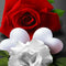 Estilo 1 Redondo 15 X 20 Cm