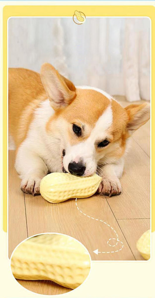 Juguete Masticable para Perros y Gatos con Sonido de Cacahuete - Image 8