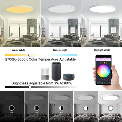 Lámpara de Techo Inteligente WiFi con Diseño Graffiti Colorido para Dormitorio - Image 4