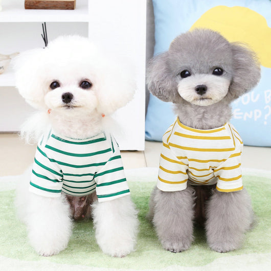 Pijama Osito para Perros Pequeños - Traje Abrigador Pomerania - Image 14