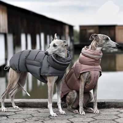 Chaleco Térmico Acolchado para Perros - Abrigo de Algodón