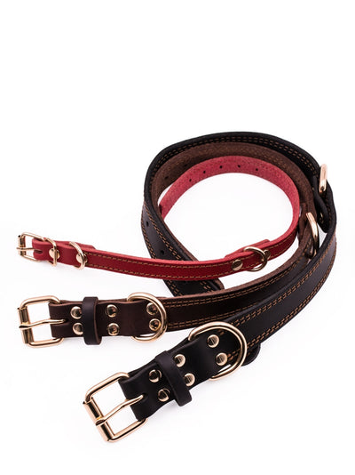 Collar de Cuero Genuino para Perros Medianos y Grandes - Golden Husky - Image 4