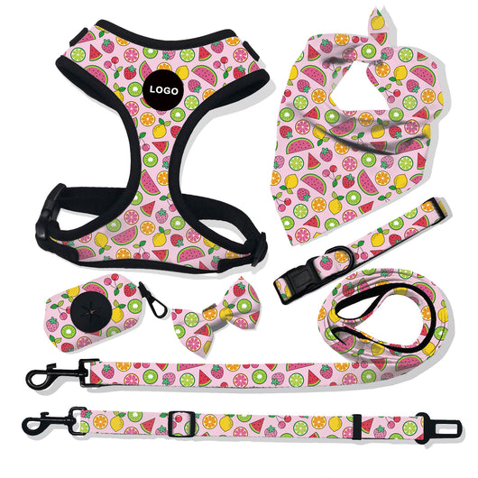 Arnés Respirable para Perro con Correa Incluida - Image 8