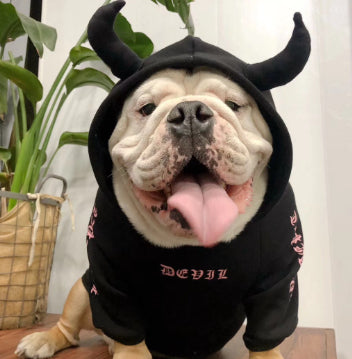 Suéter Polar Disfraz Halloween para Mascotas - Image 8