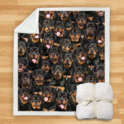 Manta de Franela Estampada para Perros de Diseño Moderno - Image 18