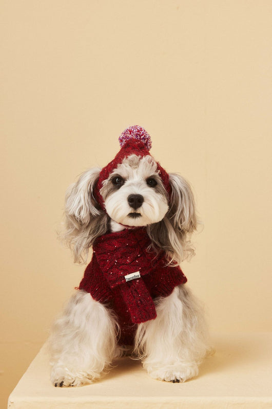 Gorro y Bufanda de Lana para Mascotas - Conjunto Abrigador para Perros - Image 11