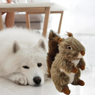 Juguete Interactivo para Perros con Sonido Chirriante - Peluche Ardilla Resistente para Masticadores Agresivos - Image 9