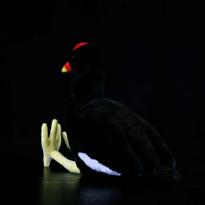 Peluche Pollo Black Water con Hueso Rojo - Image 8