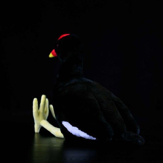 Peluche Pollo Black Water con Hueso Rojo - Image 8